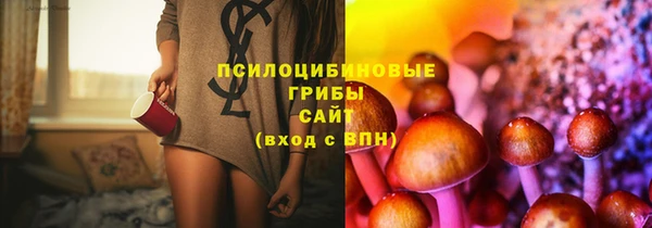 эйфоретик Нязепетровск