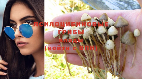 бутират Няндома