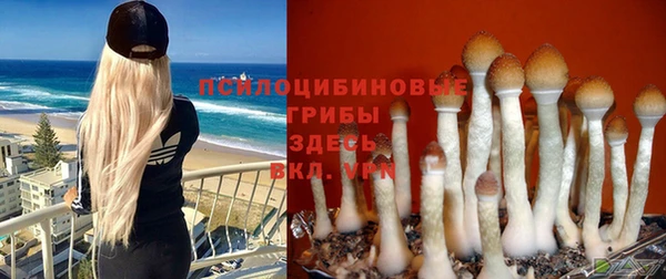 эйфоретик Нязепетровск