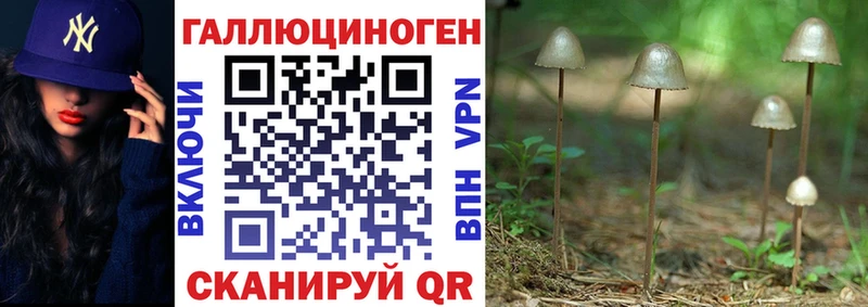 Псилоцибиновые грибы Psilocybine cubensis  Кукмор 
